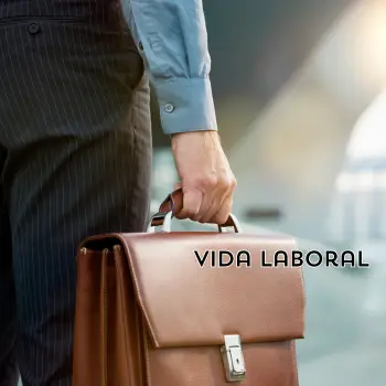 vida laboral